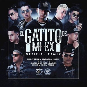 El Gatito de Mi Ex (Remix) [Explicit]