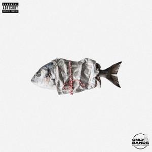 Gone Since October (feat. Deja Carter) (Explicit)