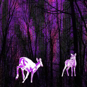 I feel sickly (Explicit)