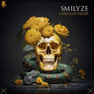 Smilyze