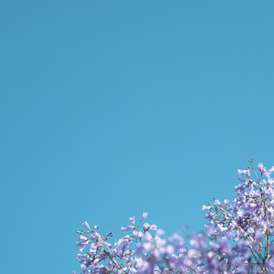 Basi Unhappy Solitary