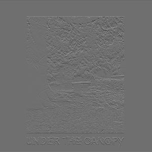 ecstasy (under the canopy) (feat. Dxxdly)