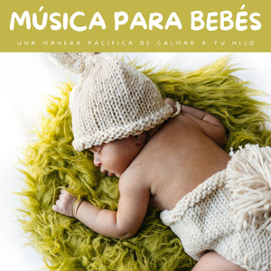 Puro Sueño Del Bebé - :)