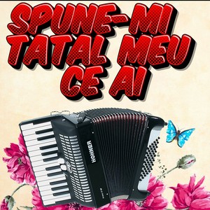 SPUNE-MI TATAL MEU CE AI