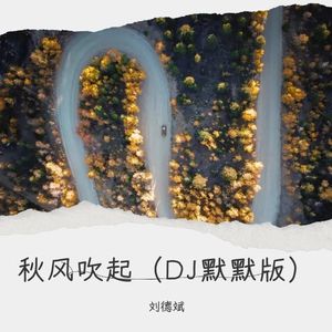 秋风吹起 (DJ默默版)