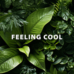 Cool Life