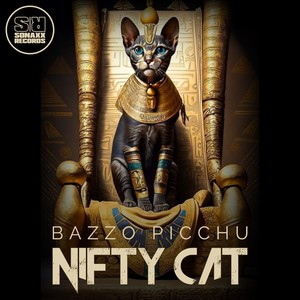Bazzo Picchu (Radio-Edit)