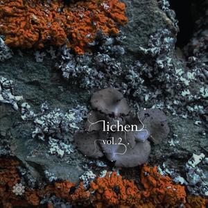 V.A - Lichen, Vol. 2 {Fungi} (Explicit)