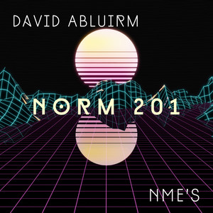 Norm 201