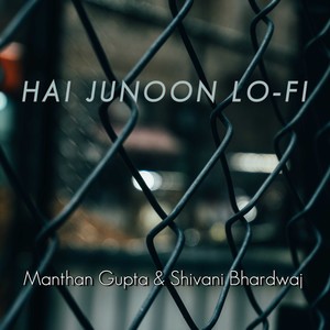 Hai Junoon Lofi