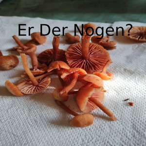 Er Der Nogen? (Explicit)