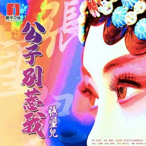 公子别惹我 (DJ伯格改编版)