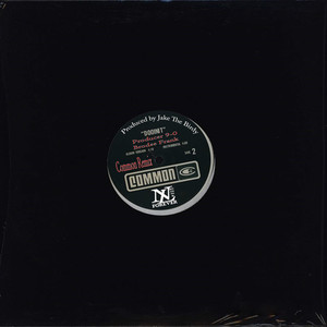 Dooinit (Common Remix|Explicit)
