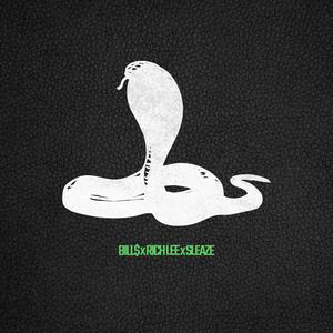 SNAKES (feat. Rich Lee & ATG Sleaze) (Explicit)