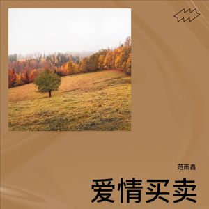 爱情买卖