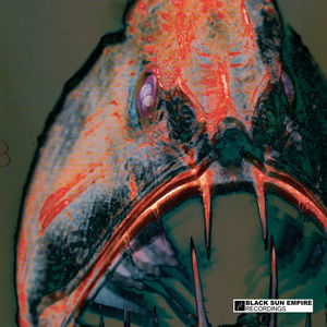 Epilogue(Rawthang VIP) (Rawthang VIP)