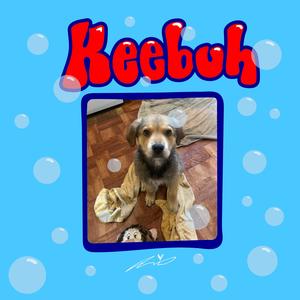 KEEBUH! (feat. Precious Na & Sauri)