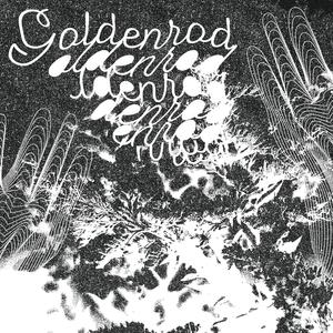 Goldenrod