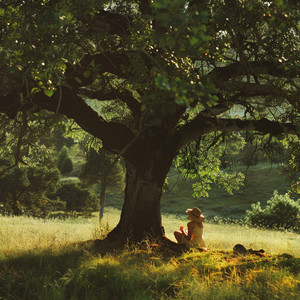 Gentle Waves of Tranquility’s Tide