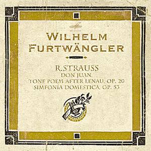 Simfonia Domestica, Op. 53: Finale - Sehr lebhaft