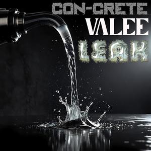 Leak (feat. Valee) [Explicit]