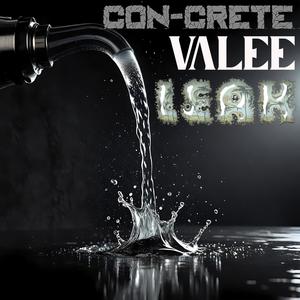 Leak (feat. Valee) (Explicit)