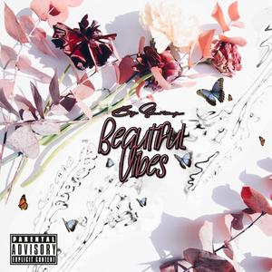 Beautiful Vibes (Explicit)