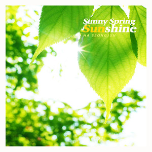 맑은 봄 햇살 (Sunny spring sunshine)