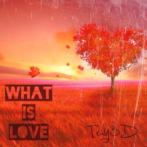 What Is Love (Explicit)
