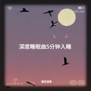 轻音乐舒缓放松纯音乐