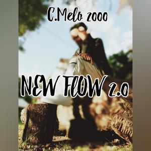 New Flow 2 (Explicit)