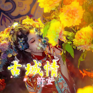 古城情 (Remix)