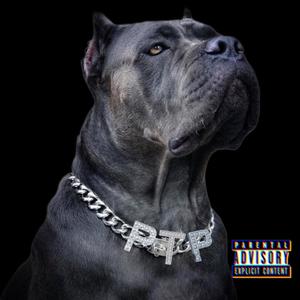 Big Dog Status (feat. Johnny Swavay) (Explicit)