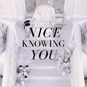 Nice Knowing You (Explicit)