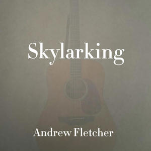 Skylarking