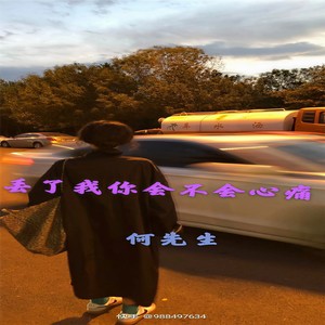 一开始说陪你到老的人现在她还在吗 (DJ何先生版)