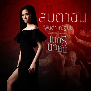 เพลงประกอบละคร เนตรนาคิน