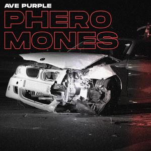 Phéromones (Explicit)