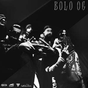 Bolo OG