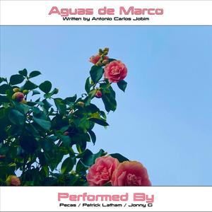 Aguas de Marco (feat. Pecas & Patrick Latham)