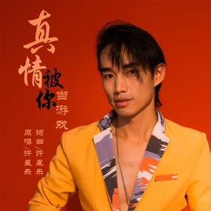 真情被你当游戏