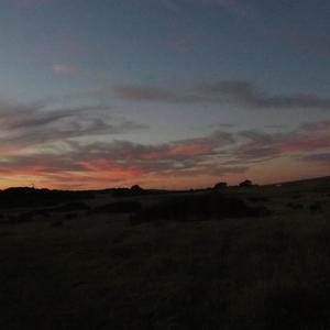 More Money (Explicit)