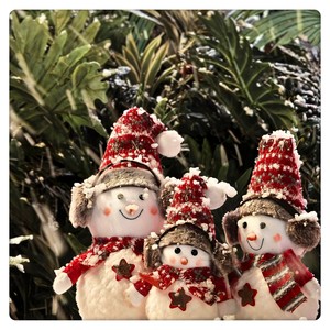 Right Before The Christmas Snow