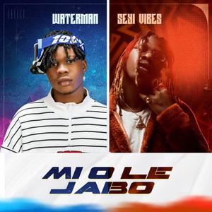 Mi o le jabo (feat. seyi vibes)