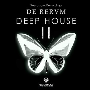 De Rerum Deep House, Vol. 2