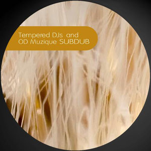 The Money Shot (Original Mix)