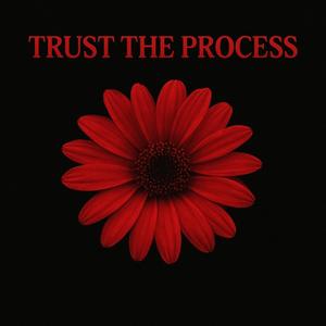 Trust the process (Explicit)