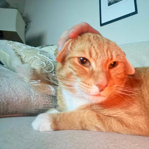 i've always felt so lost but when i was with you it made everything feel okay regardless