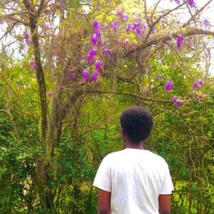 i really like you (feat. kaylenthepisces) (Remix)
