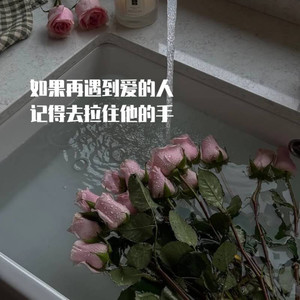 如果再遇到爱的人 (记得去拉住她的手)-DJ铁柱Remix